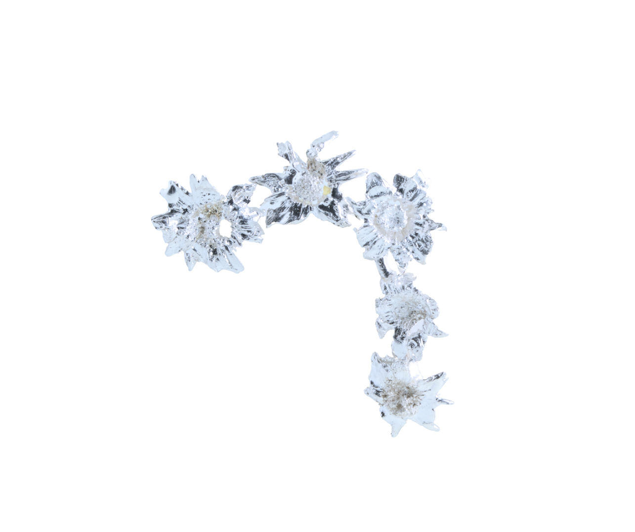 wildFLOWER