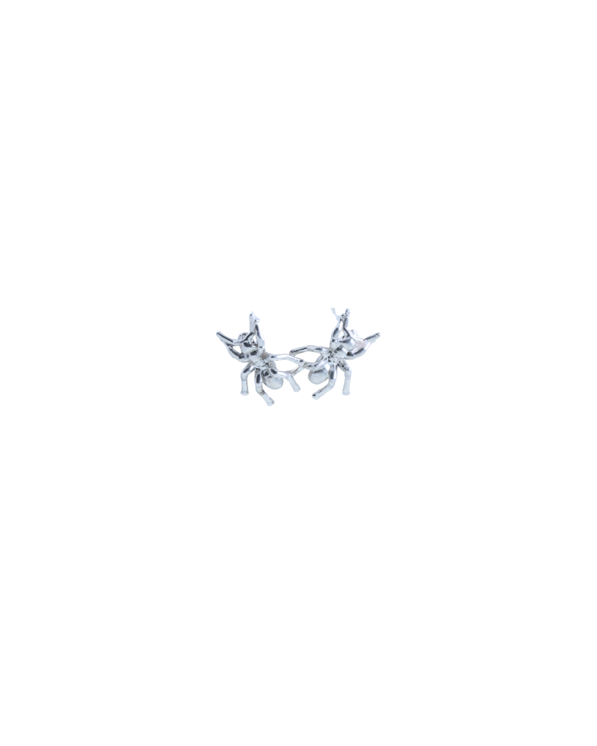 ANT
